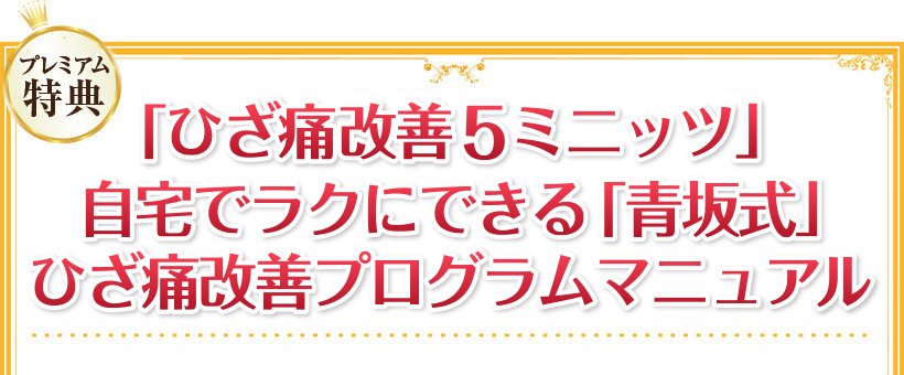 >「視力回復アイスマイル1.0　自宅でラクラク視力アップ法」マニュアル