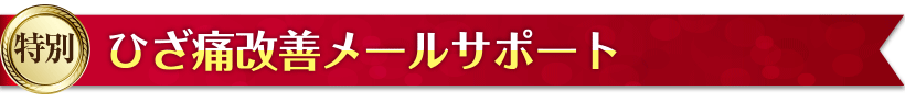 視力回復メールサポート